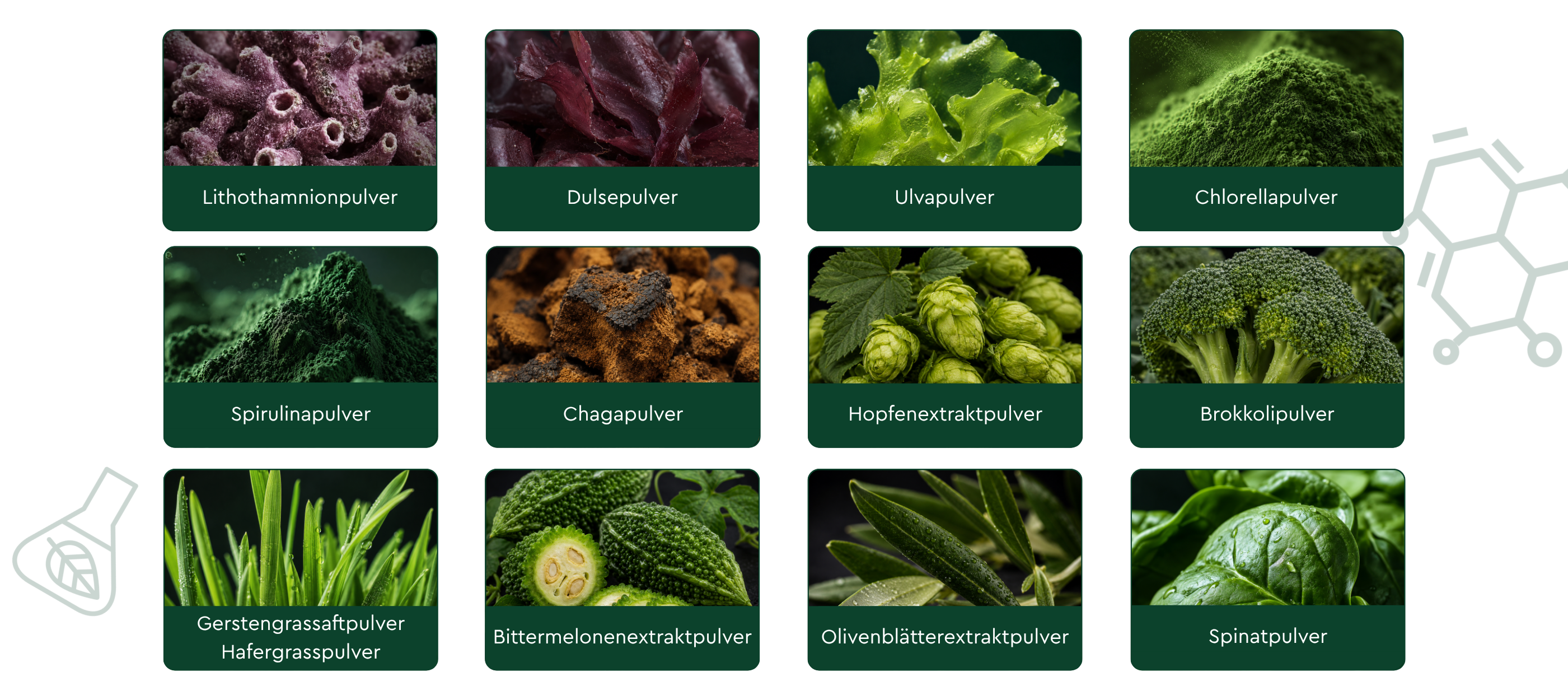 ALGOMAX Zutaten Pulver 300g jetzt neu im Shop. Laborgeprüft, Produziert in Deutschland und entwickelt von Biologen und Ernährungswissenschaftlern.