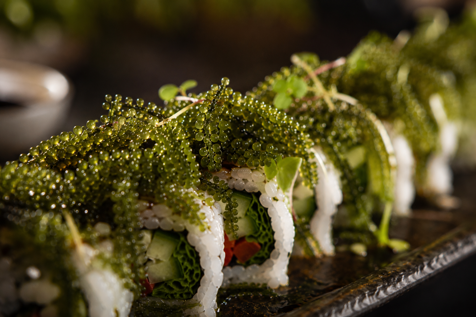 Algomed Umbidudo_Meereskaviar_Sushi
