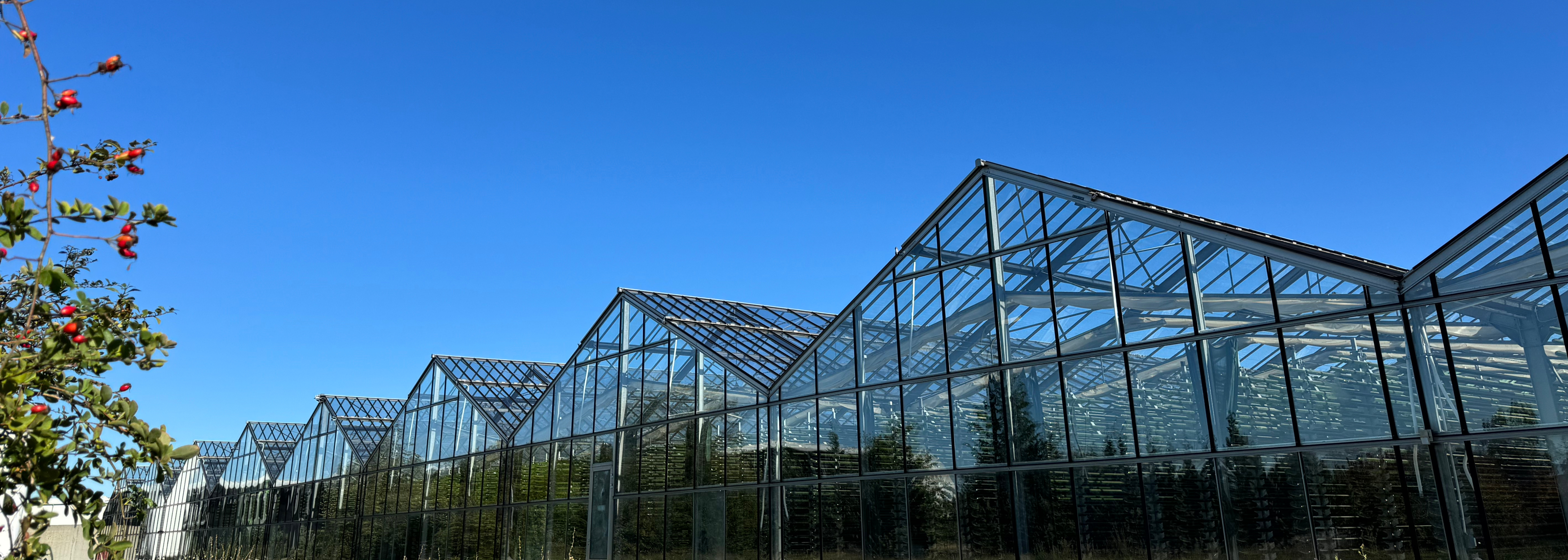Algenfarm Klötze 100 % natürlich. Besuche unsere Algenfarm. 