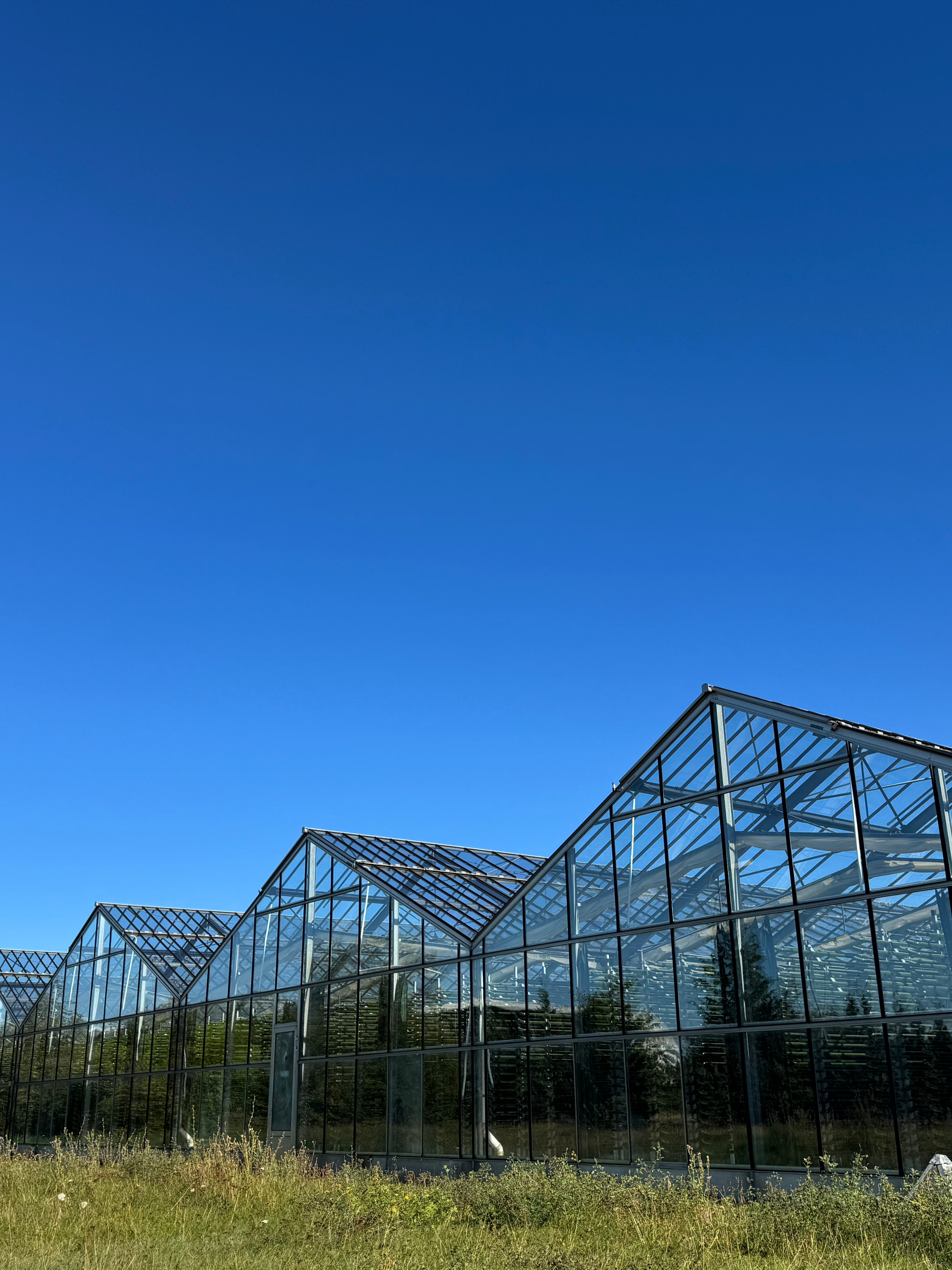 Algenfarm Klötze 100 % natürlich. Besuche unsere Algenfarm. 
