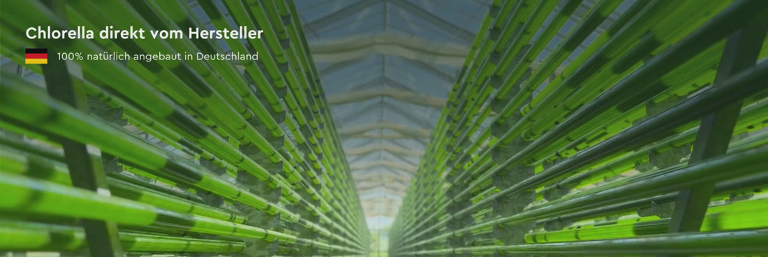 Algomed Chlorella direkt vom Hersteller. 100% natürlich angebaut in Deutschland.