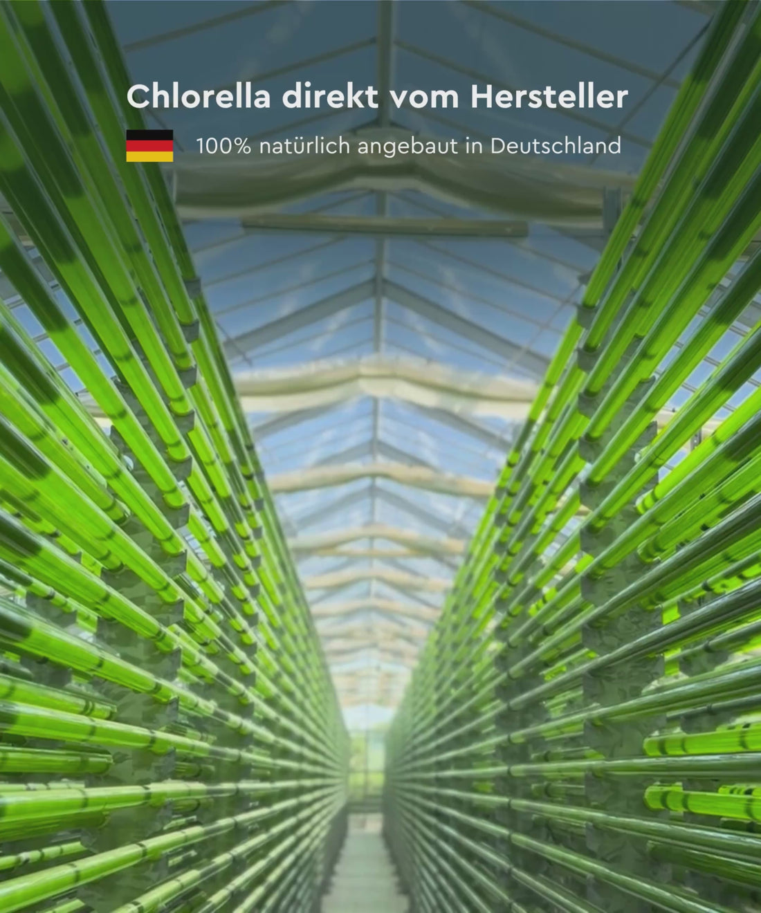 Algomed Chlorella direkt vom Hersteller. 100% natürlich angebaut in Deutschland.